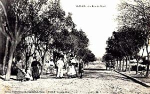 Vialar - Rue du Nord - 1912